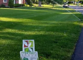 Turf Fertilization & Weed Control