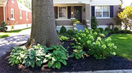 Commercial landscape