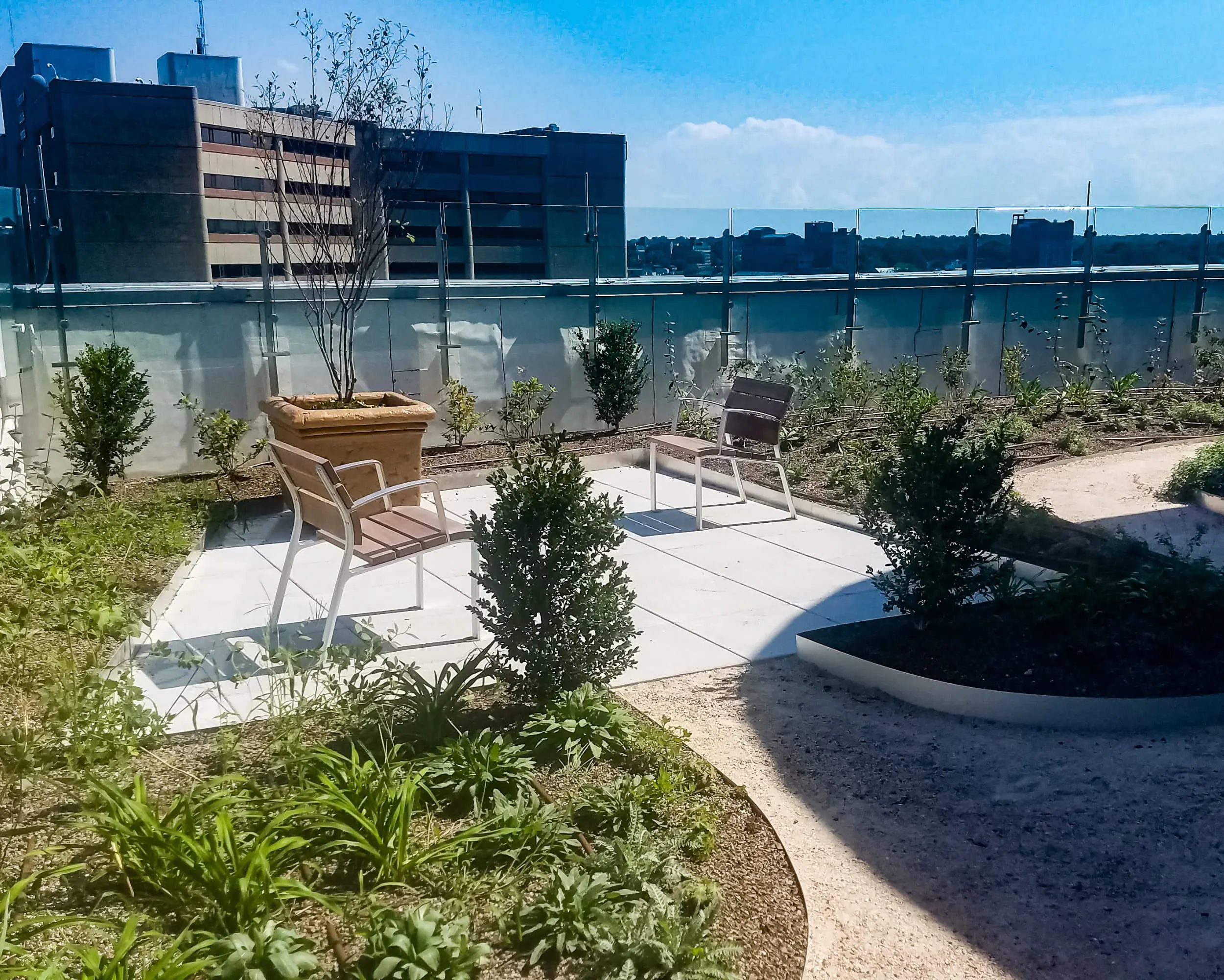 landscaping on a green roof in Louisville, kentucky. Two chairs and a planter box with a tree.