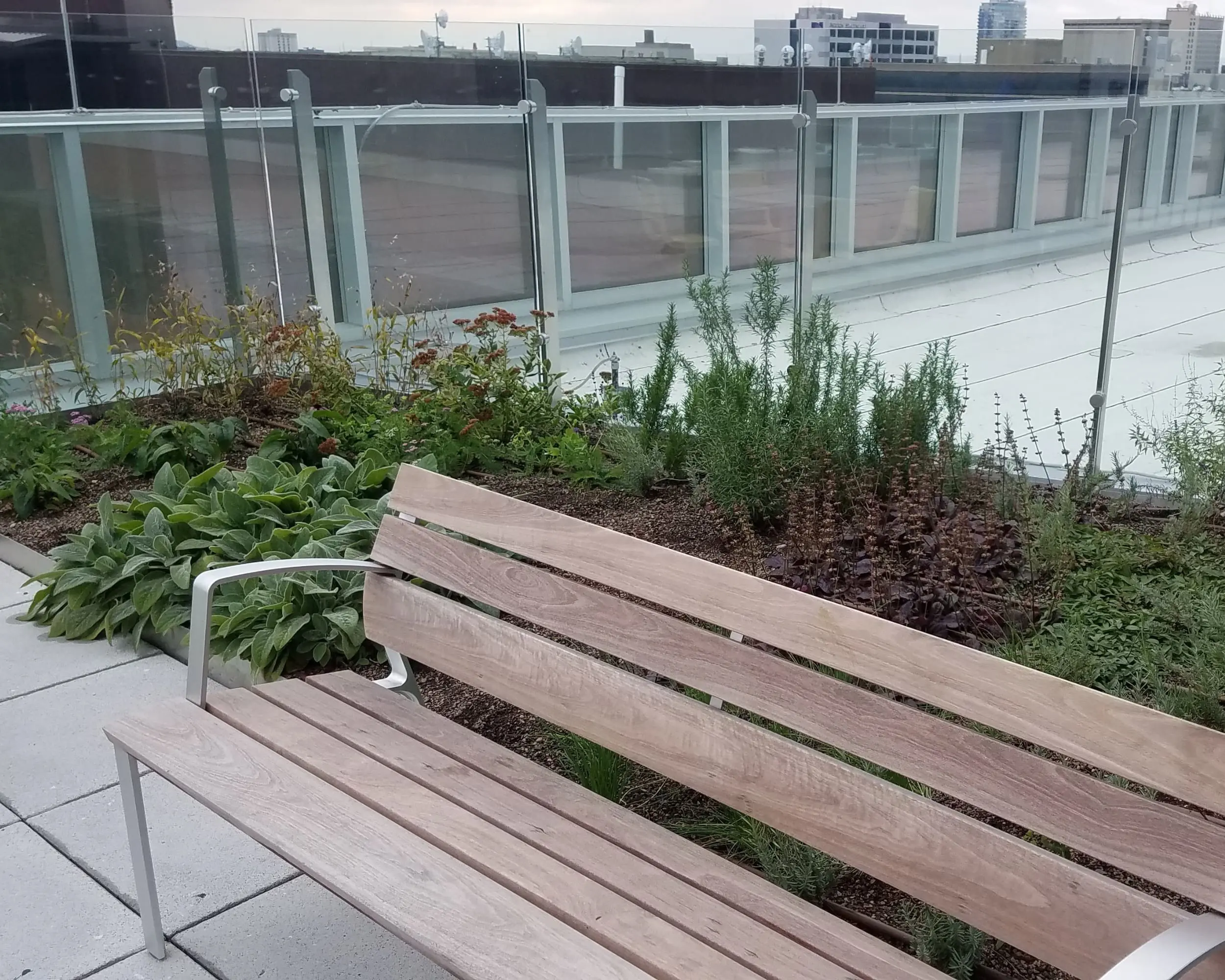 A rooftop bench surrounded by plants, offering a scenic view of the skyline and surrounding landscape.