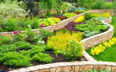 Landscape Enhancement Beautifully landscape enhancement with terraced garden with natural stone retaining walls, vibrant flowers, and lush greenery. The design showcases professional landscaping with layered plant beds and a well-maintained lawn, creating a stunning outdoor living space