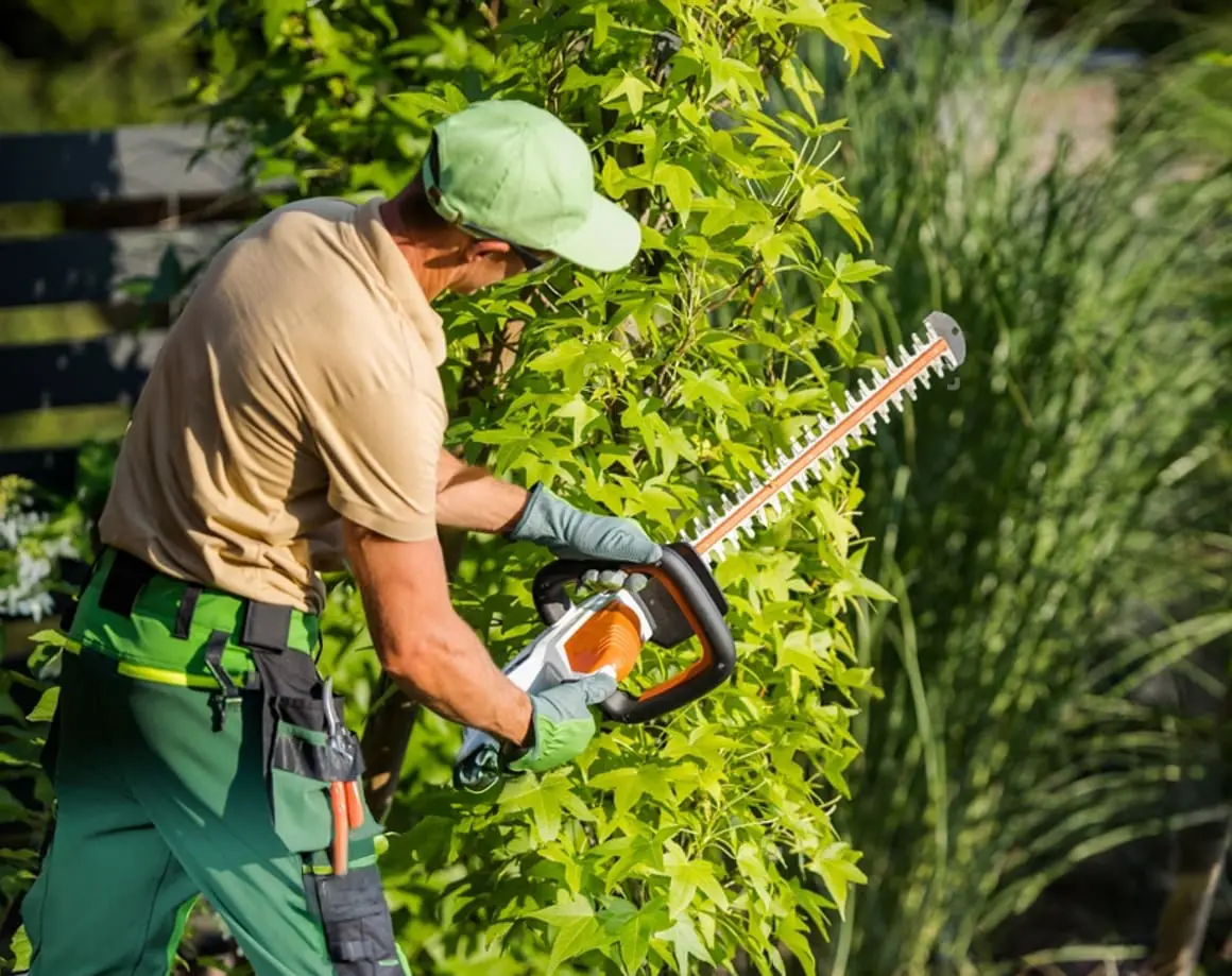 Landscaper performing Shrub pruning and trimming