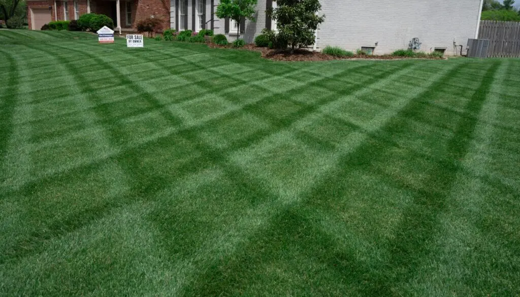 Manicured lawn