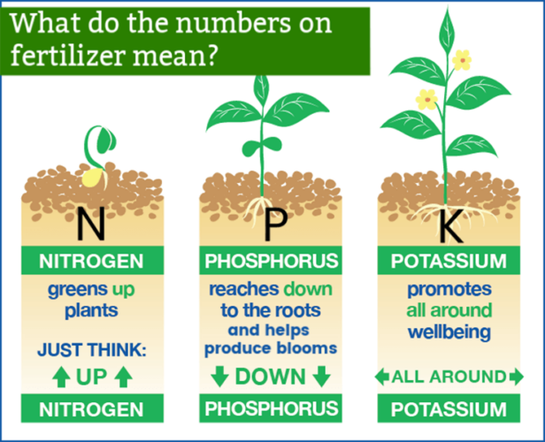 Graphic explaining what the numbers and NPK on fertilizer mean?