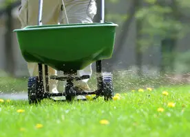 Power Seeding & Over Seeding