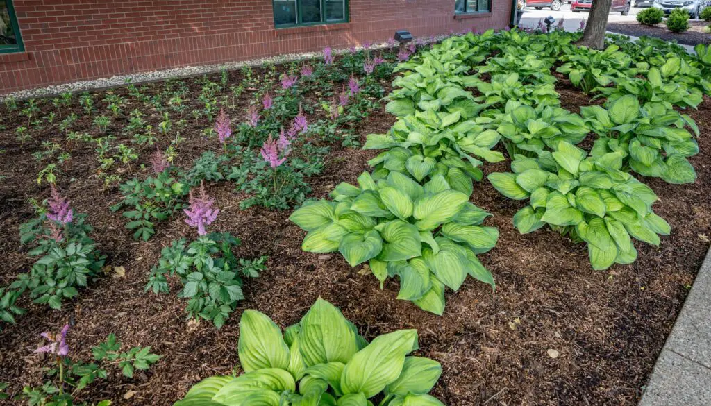 commercial landscape