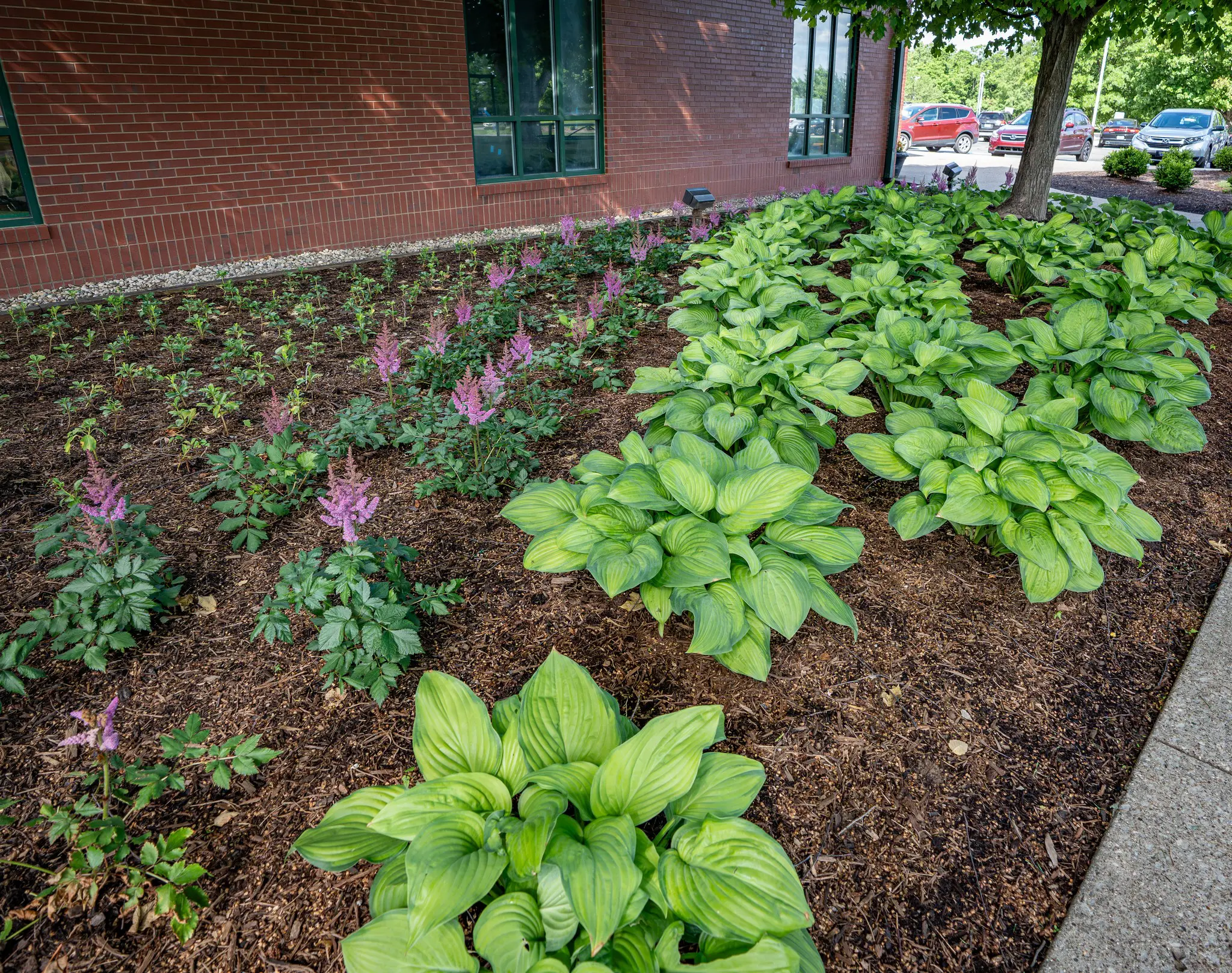 commercial landscape