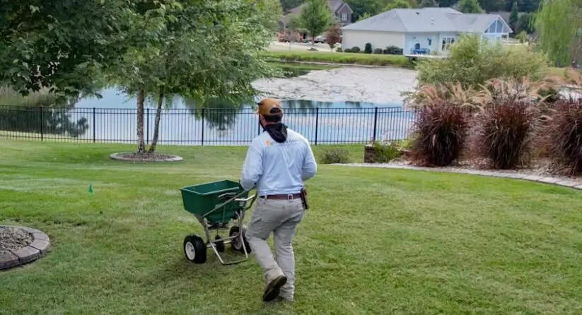 Person using an overseeding machine on a residential lawn in Louisville, Kentucky.
