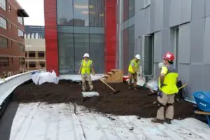 The Fransen Group spreading mulch for a greenroof