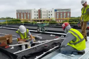 The Fransen Group installing a rooftop garden