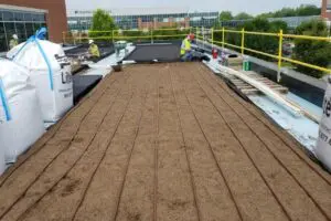 Installing a rooftop garden