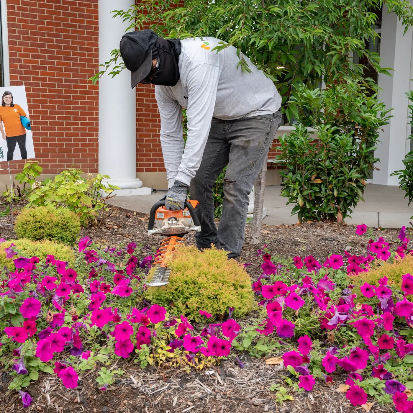 The Fransen Group pruning shrubs