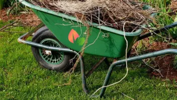 Why Fall Landscape Clean-Up & Leaf Removal Matters in Louisville