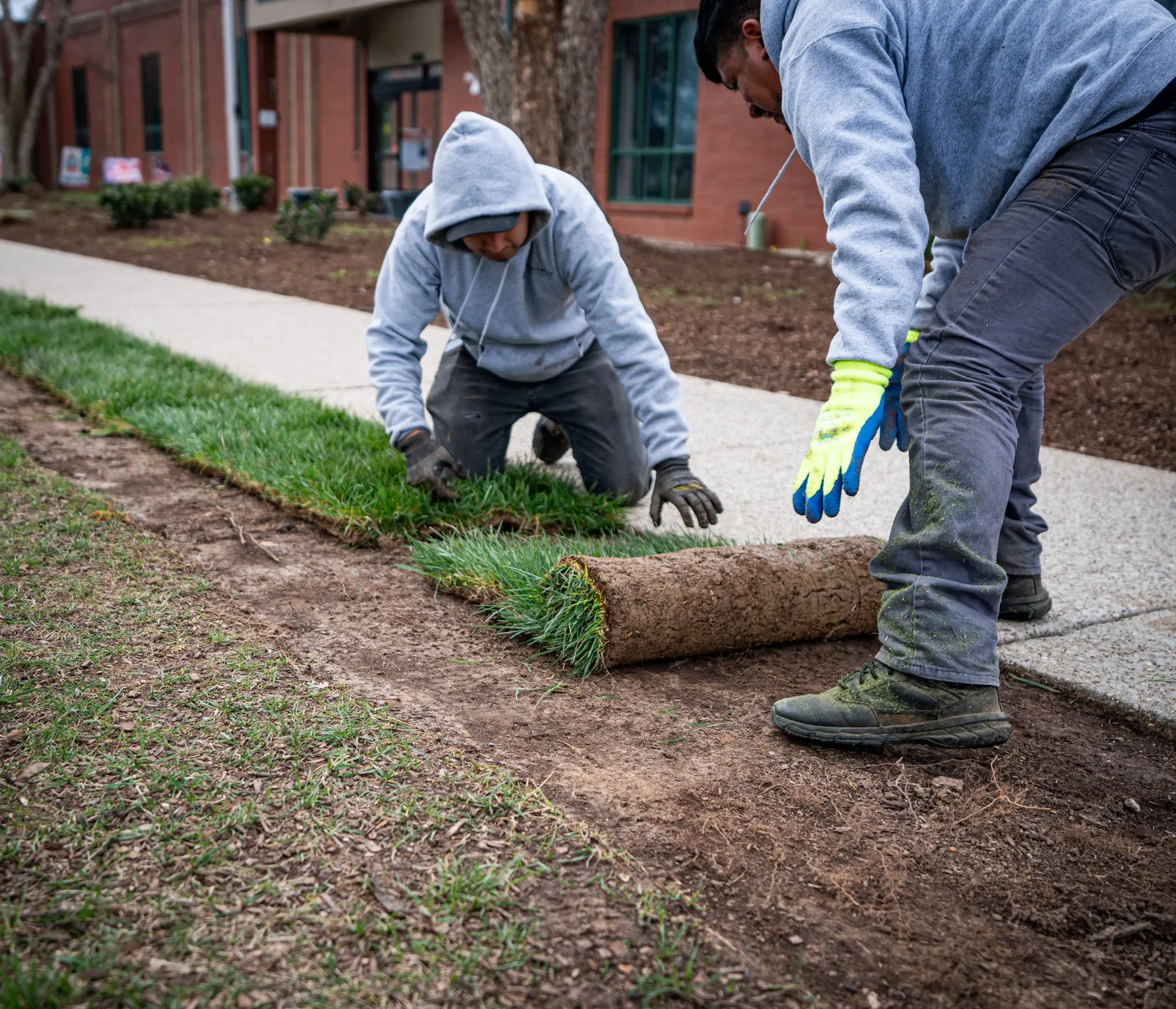 The Fransen Group replacing turf to rejuvinate the appearance of commercial property.