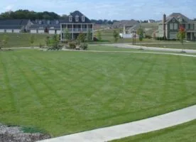 Irrigation & Maintenance