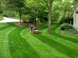 Mowing