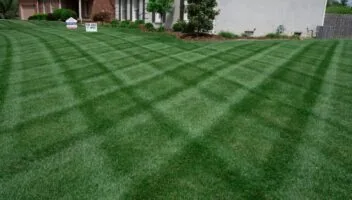 Year-Round Mowing Tips