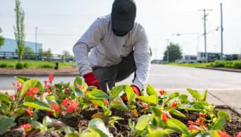 Tips to Prepare Your Lawn & Landscape for the Kentucky Derby
