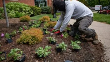 Best Practices For Curb Appeal on Commercial Properties