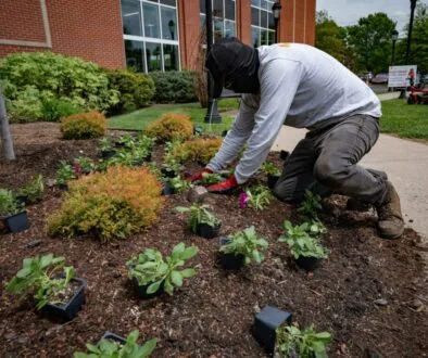 louisville commercial landscaping
