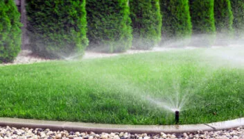 Mastering Cool-Season Turfgrass Watering Techniques