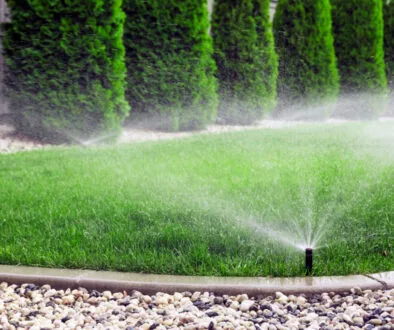 Irrigation system for Turfgrass luxury landscaping in Louisville KY