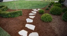 Landscape & Horticultural Landscape & Horticultural