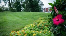 Residential Turf Care Residential Turf Care