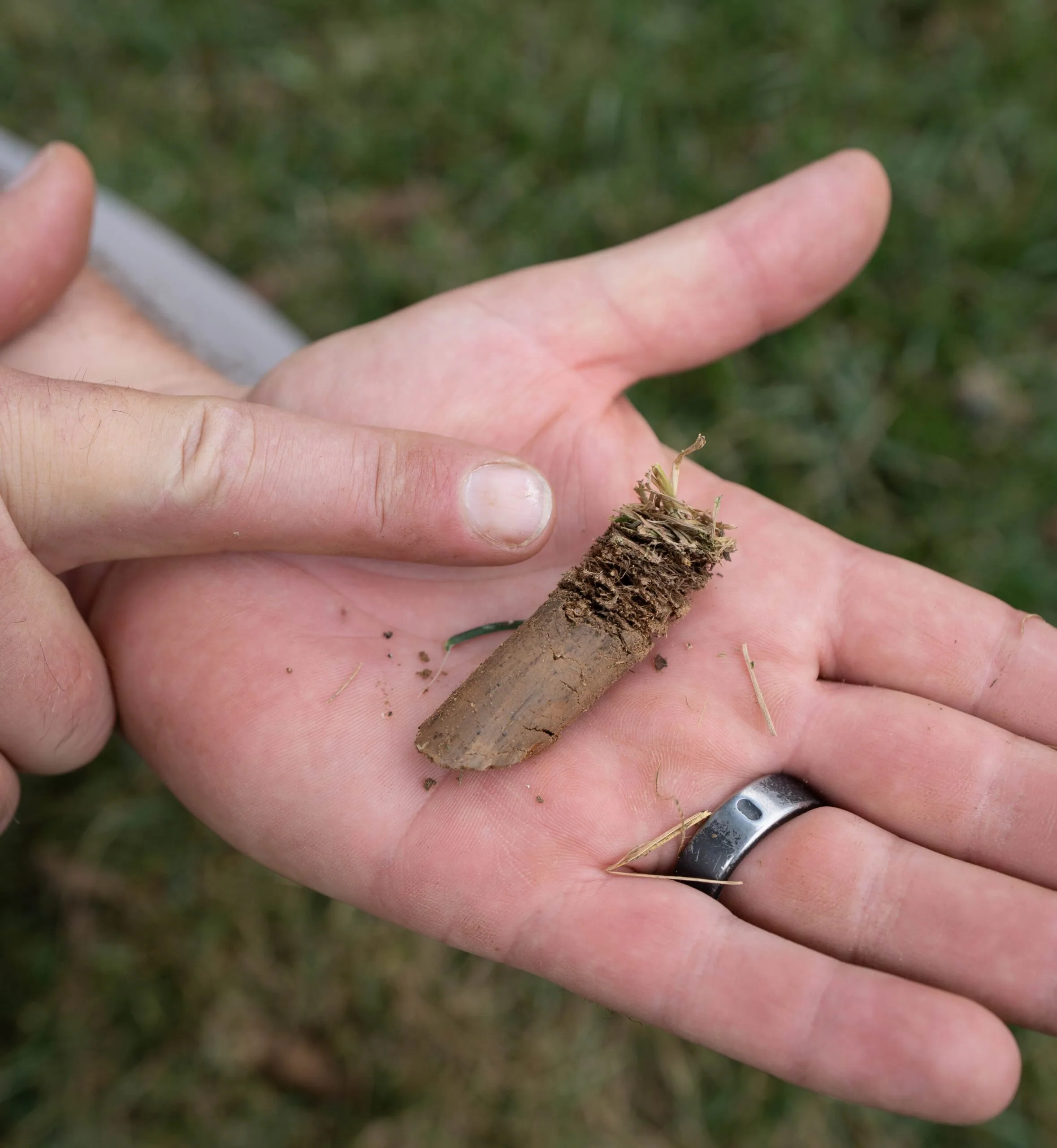 aeration-plug-lawncare-louisville Our equipment removes plugs from the soil, relieving compaction and promoting new root growth.