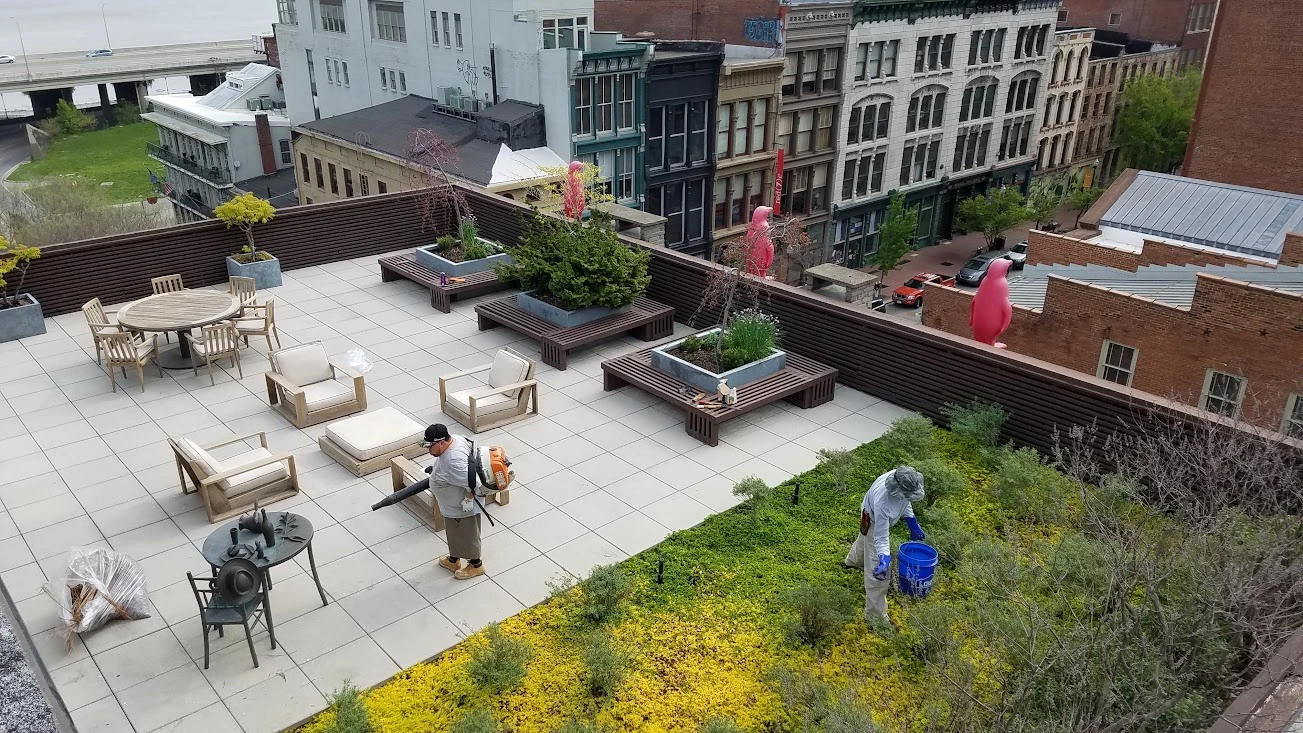 The Fransen Group cleaning up a rooftop garden