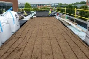 greenroof maintenenace6 Installing a rooftop garden