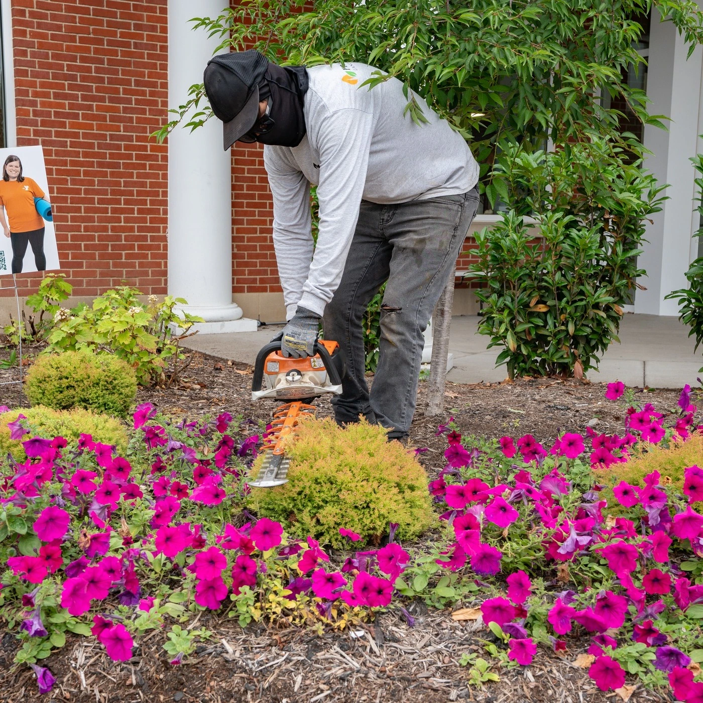 The Fransen Group pruning shrubs