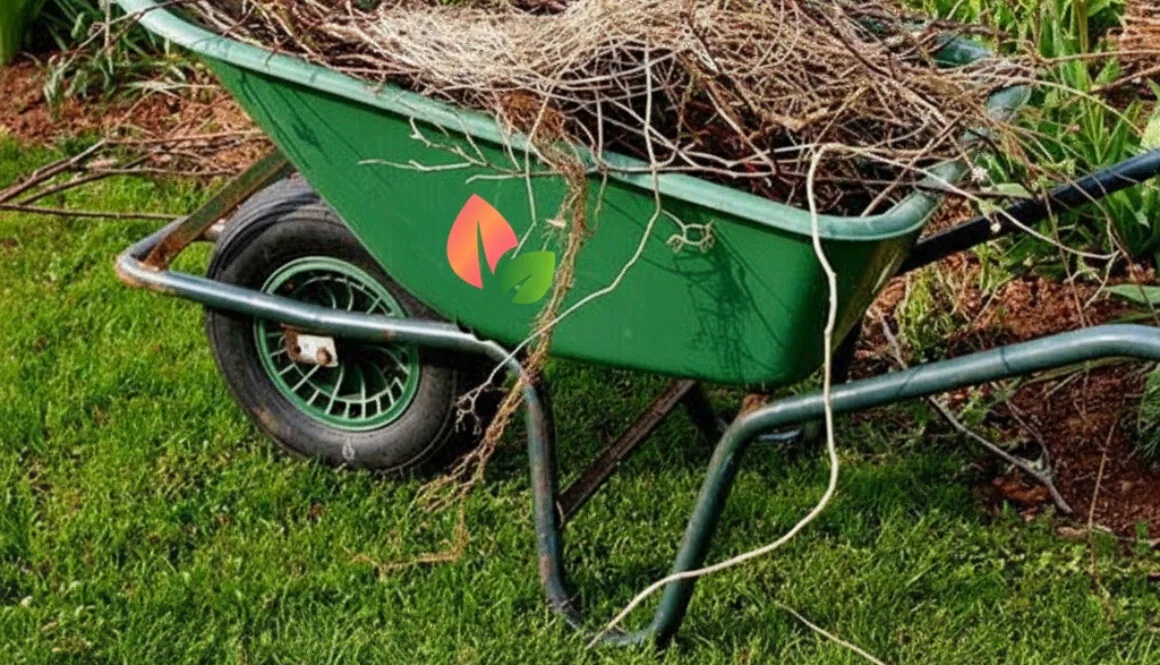 The Fransen Group cleaning up sticks and roots