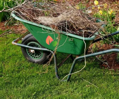 spring and fall cleanup_commercial2