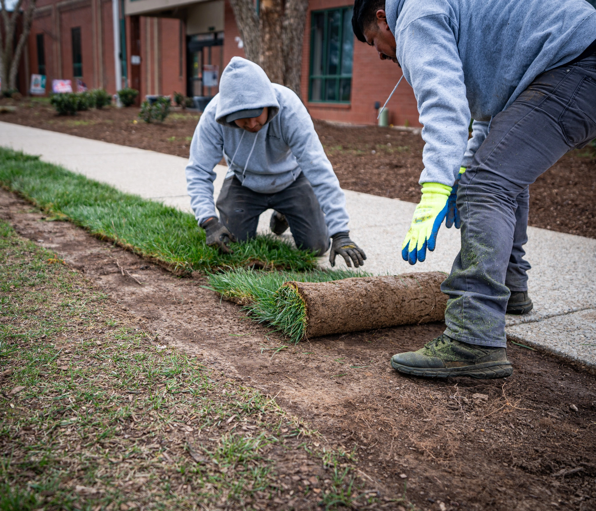 The Fransen Group replacing turf to rejuvinate the appearance of commercial property.