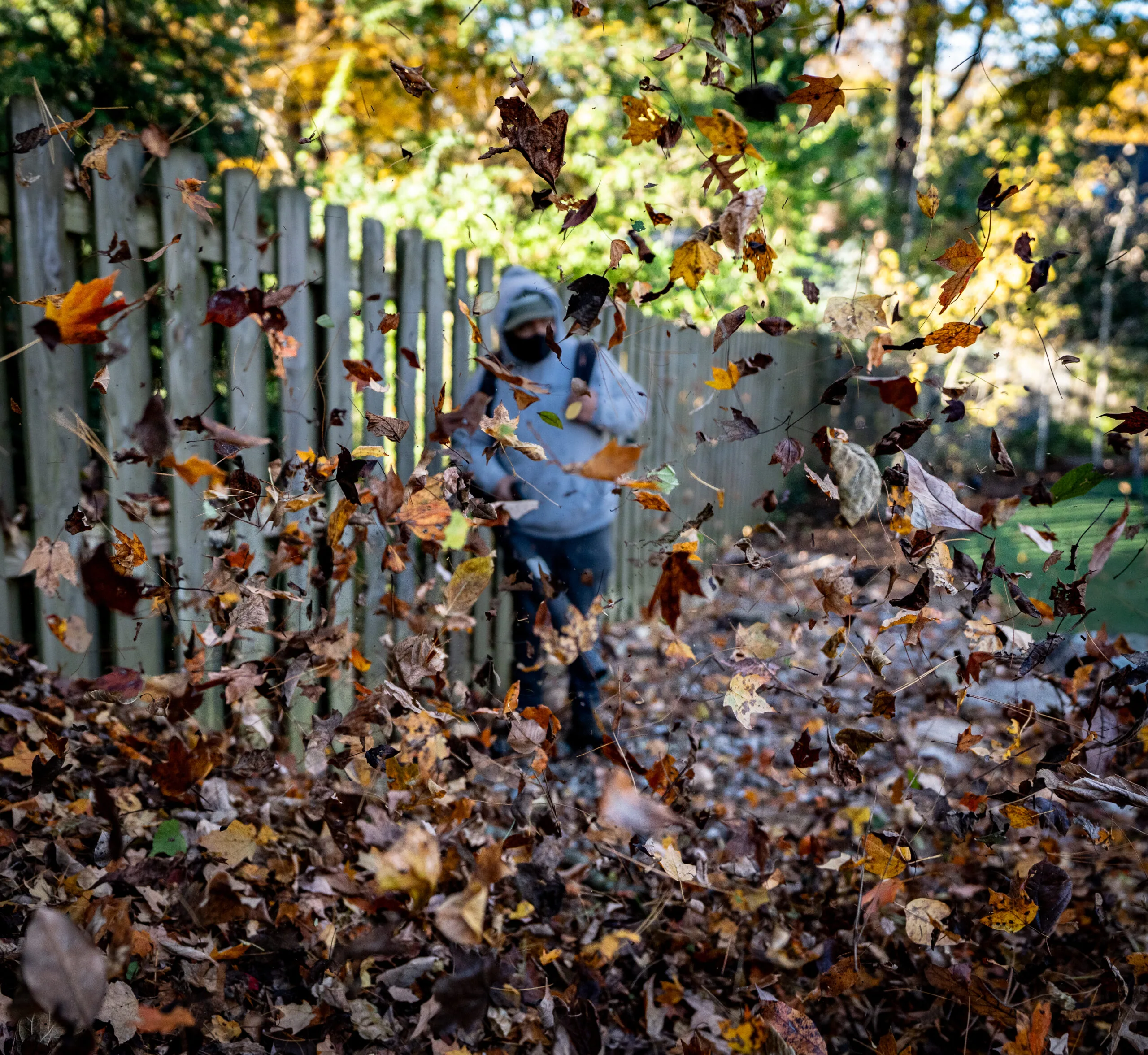 Man with blower performing leaf removal services for residential property